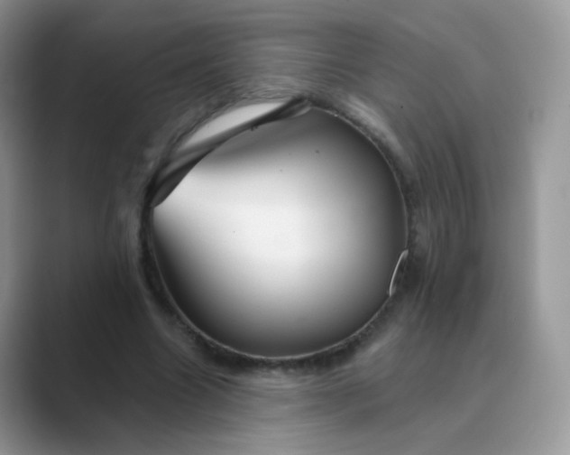 X0000089720538200707051722