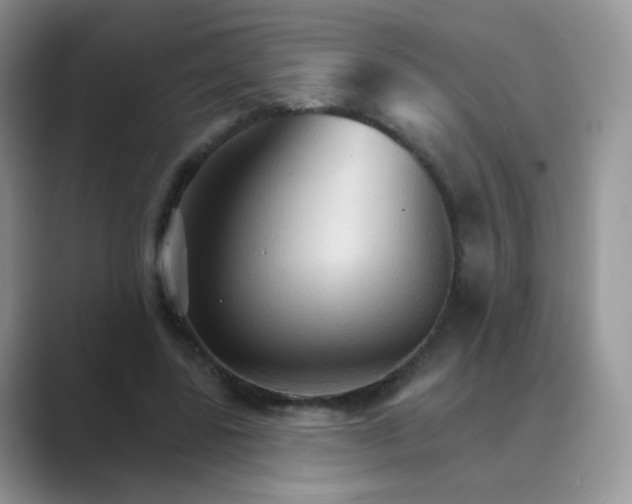 X0000089720539200707051722