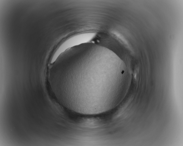 X0000089720540200707051722