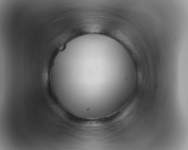 X0000089720541200707051722