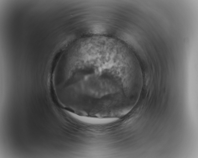 X0000089720542200707051722