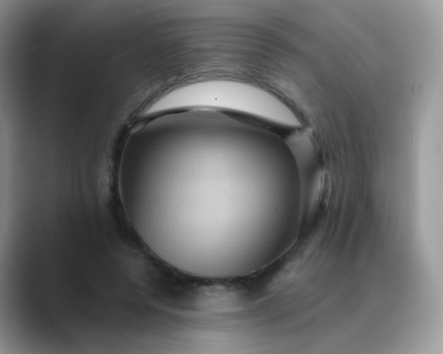 X0000089720544200707051722