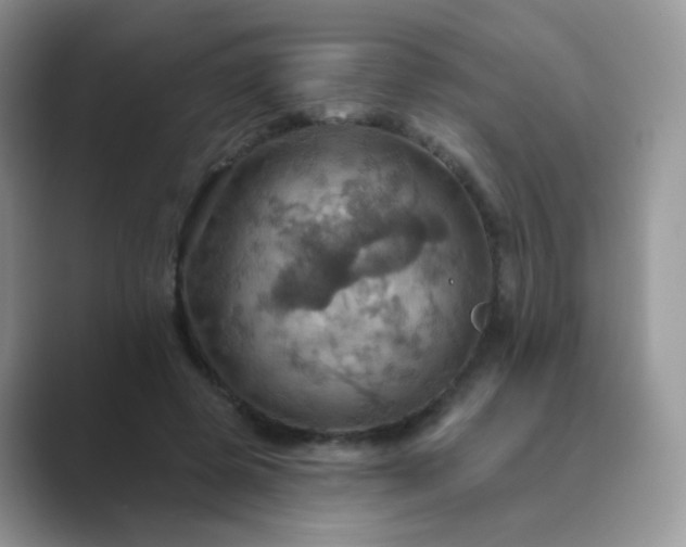 X0000089720545200707051722