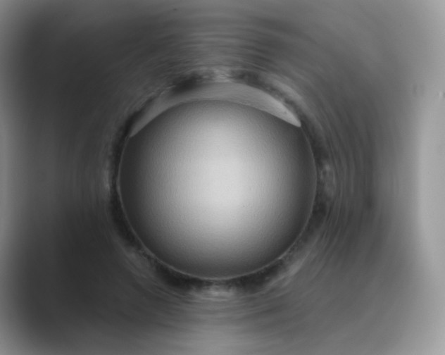 X0000089720546200707051722
