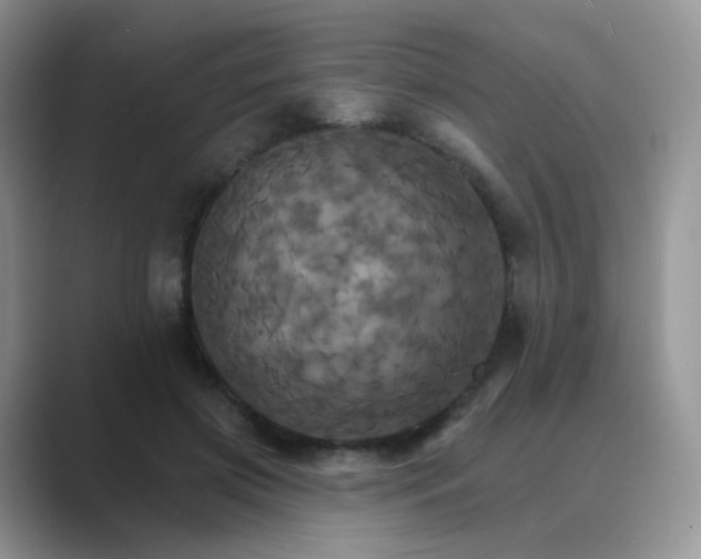 X0000089720549200707051722