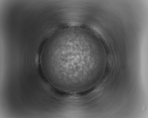 X0000089720550200707051722