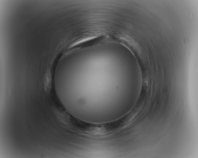 X0000089720552200707051722