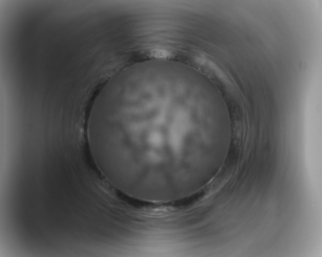 X0000089720553200707051722