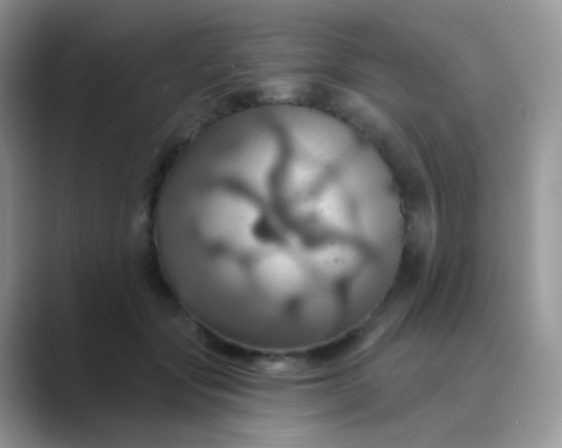 X0000089720557200707051722