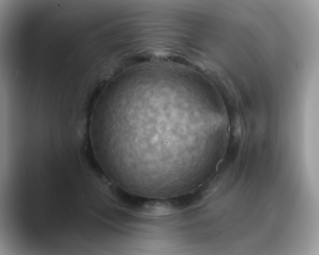 X0000089720559200707051722