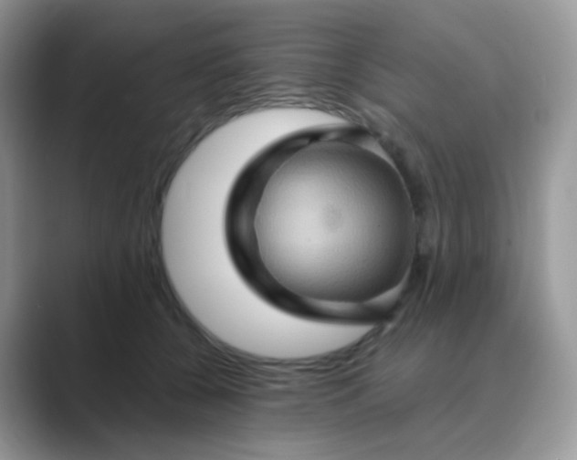 X0000089720560200707051722