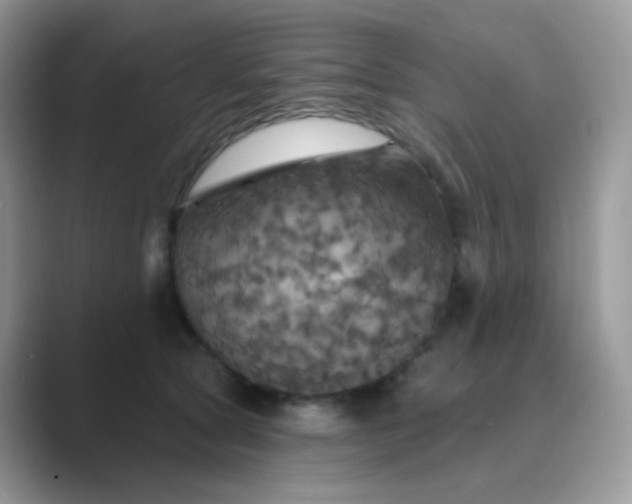 X0000089720561200707051722