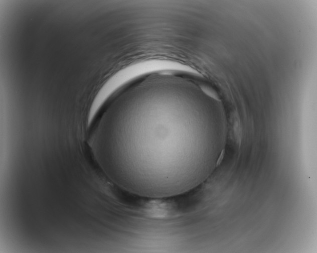 X0000089720562200707051722
