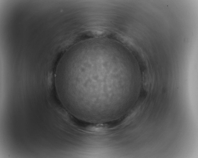 X0000089720563200707051722