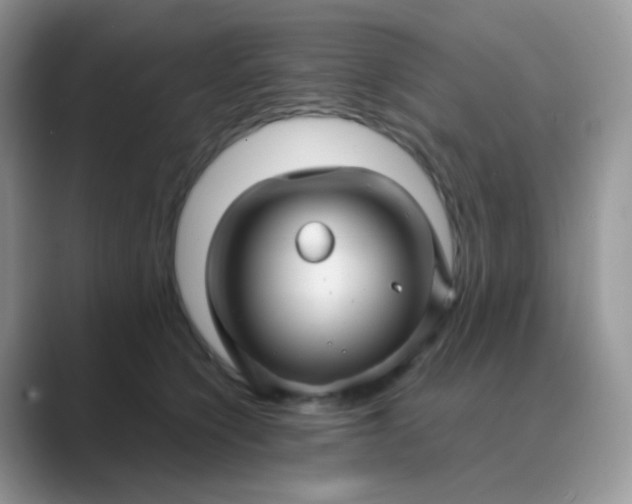X0000089720564200707051722