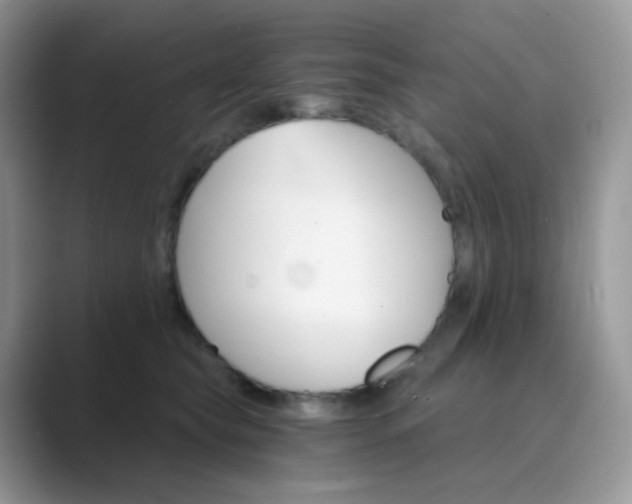 X0000089720565200707051722