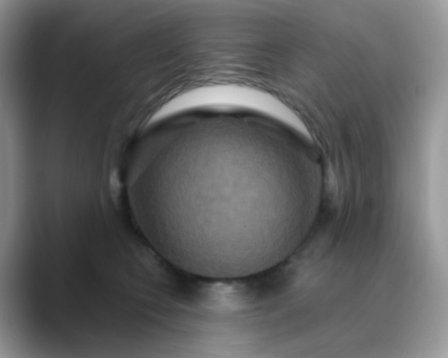 X0000089720566200707051722