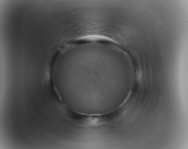 X0000089720570200707051722
