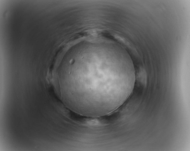 X0000089720572200707051722