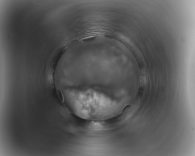 X0000089720573200707051722