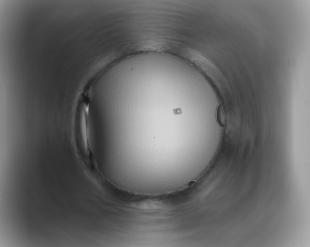 X0000089720578200707051722