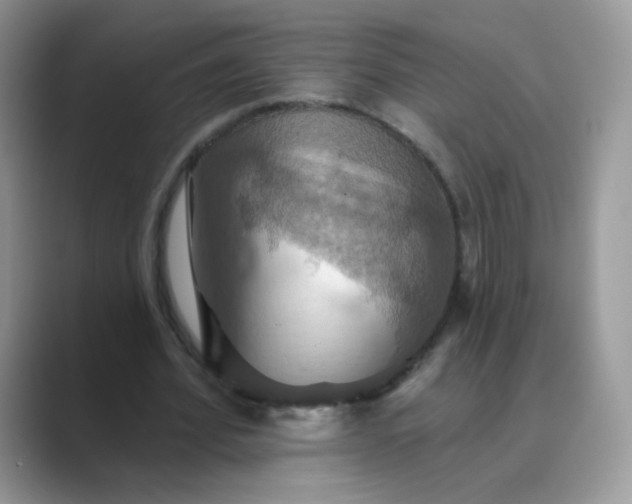 X0000089720580200707051722