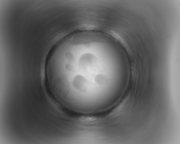 X0000089720582200707051722