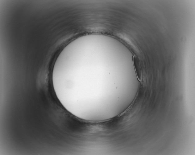 X0000089720583200707051722