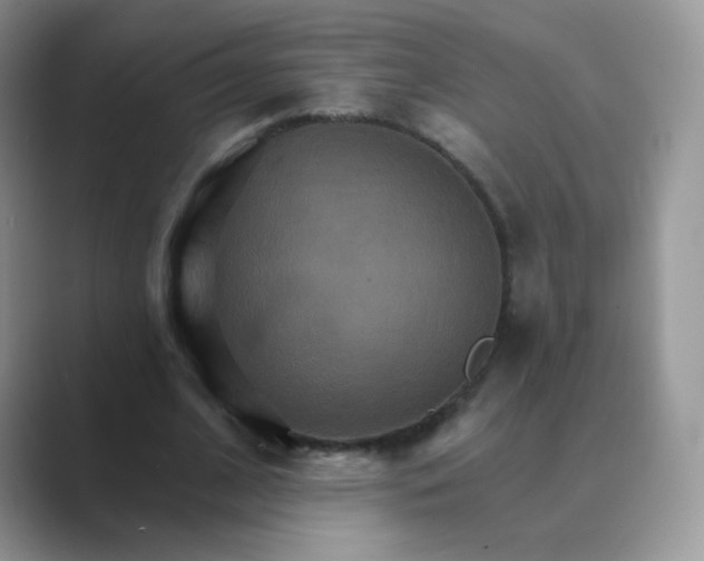 X0000089720584200707051722