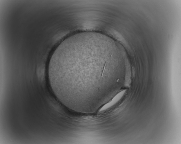 X0000089720588200707051722