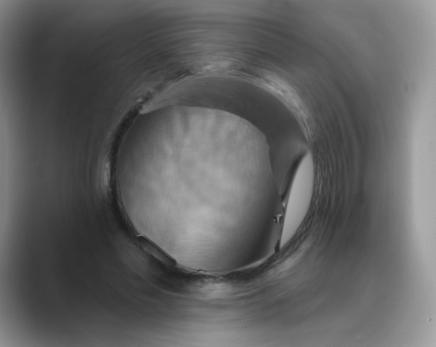X0000089720589200707051722