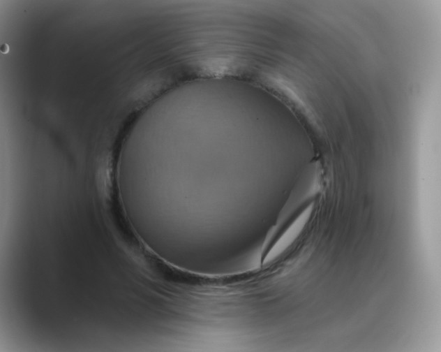 X0000089720590200707051722