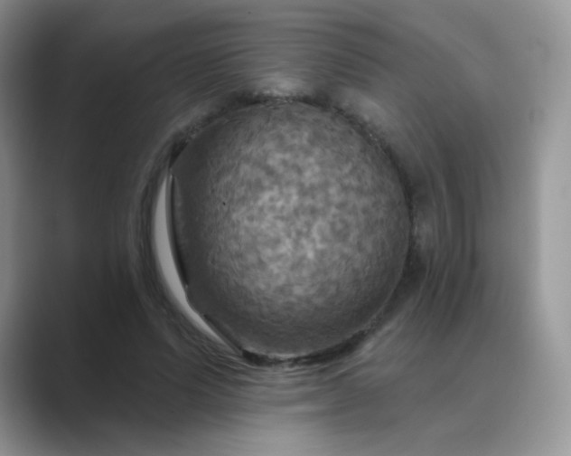 X0000089720591200707051722