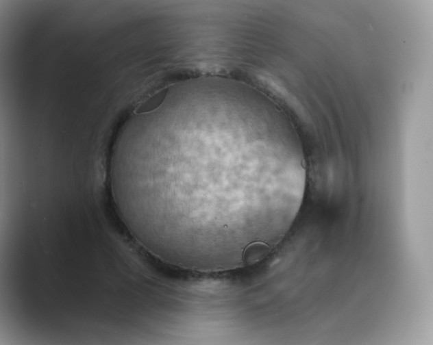 X0000089720593200707051721