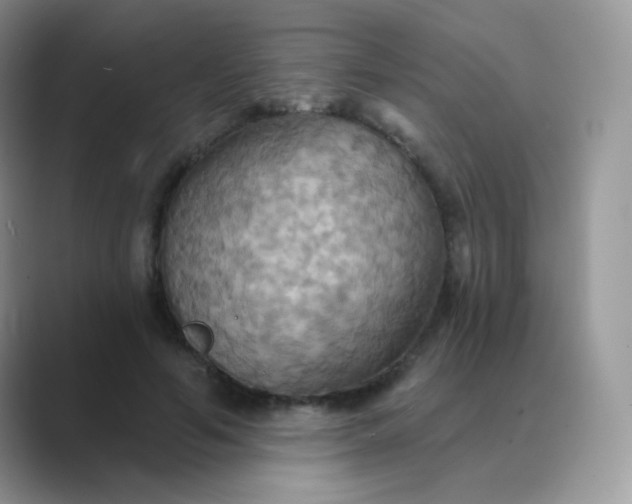 X0000089720594200707051721