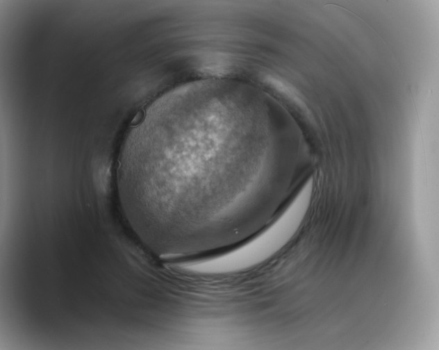 X0000089720596200707051721