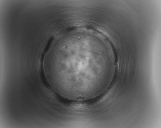 X0000089720597200707051721