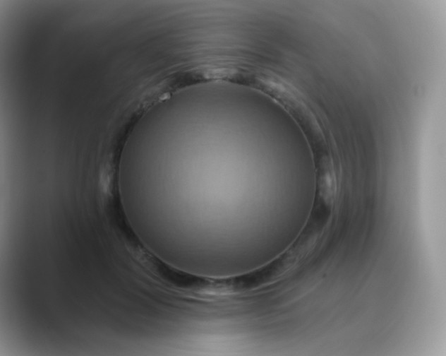 X0000089720604200707051721