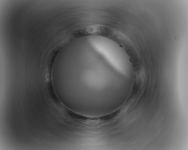 X0000089720606200707051721