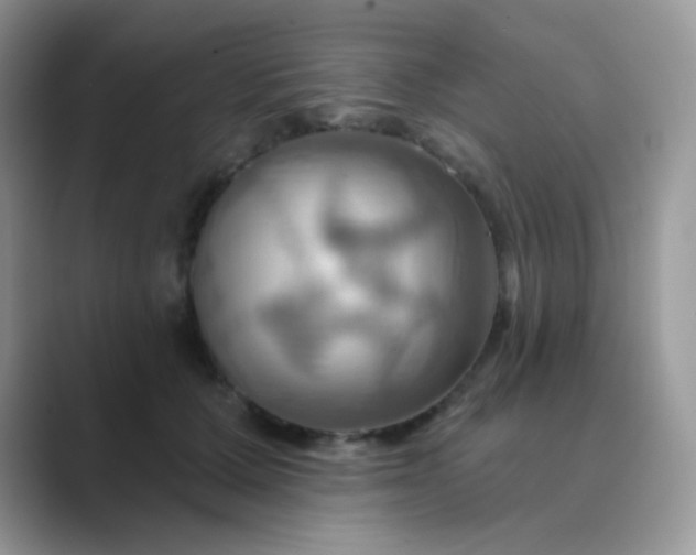 X0000089720607200707051721