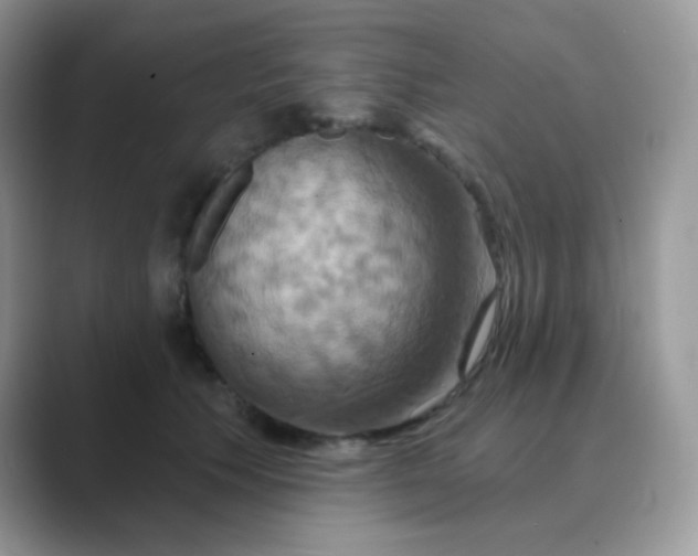 X0000089720609200707051721