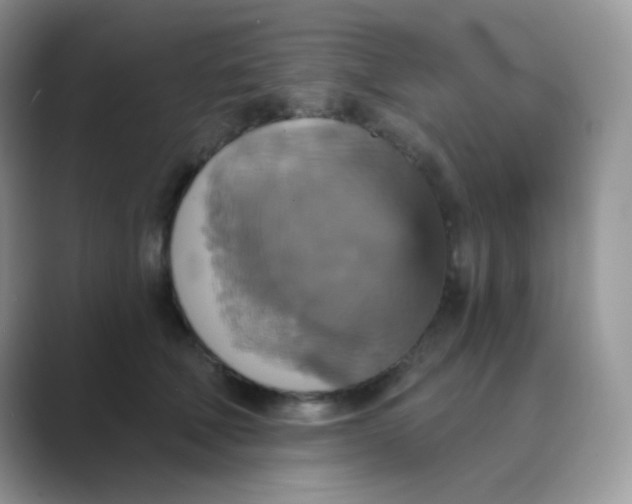 X0000089720610200707051721