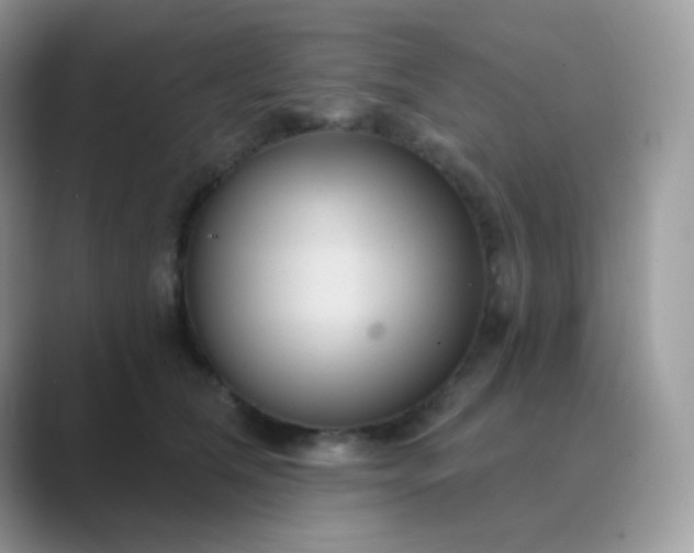 X0000089720612200707051721
