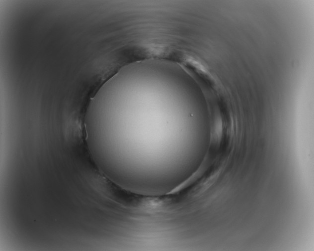 X0000089720613200707051721