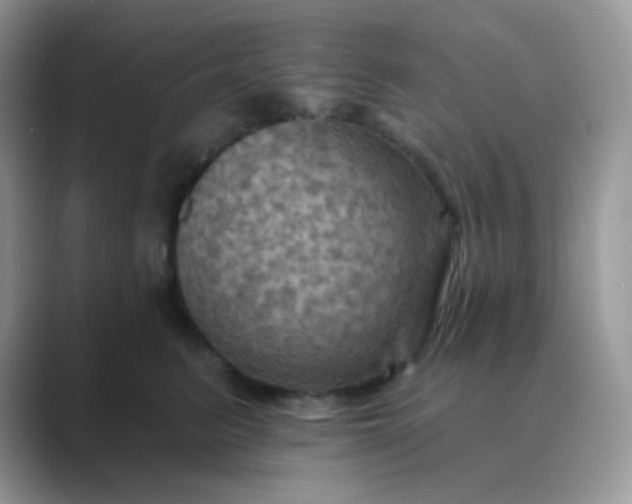 X0000089720615200707051721