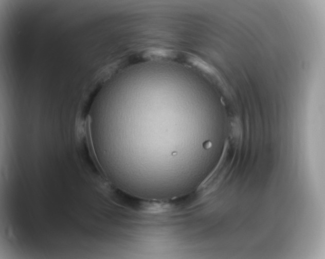 X0000089720621200707051721