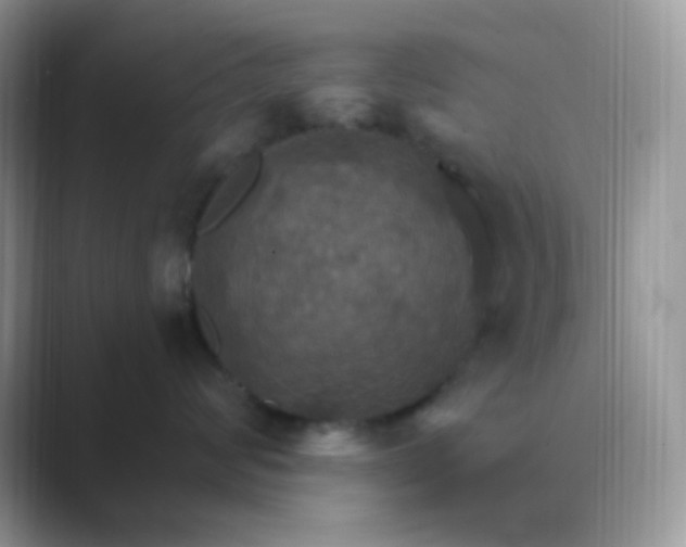 X0000089720624200707051721