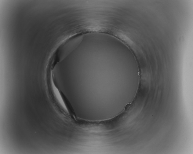 X0000089720626200707051721