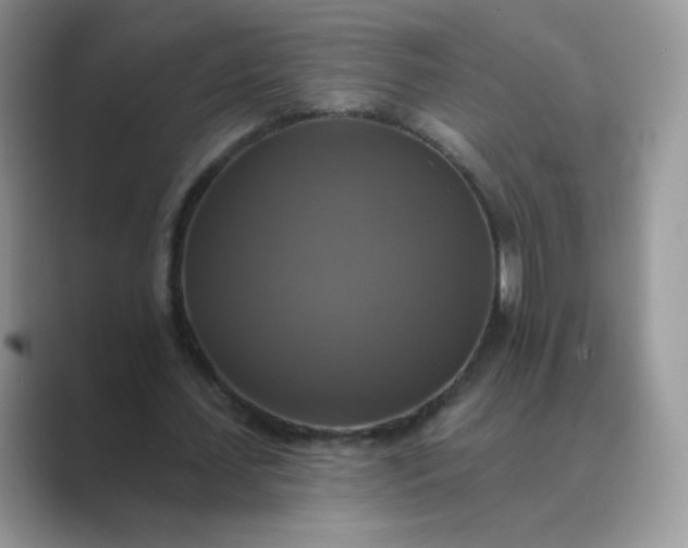 X0000089720627200707051721