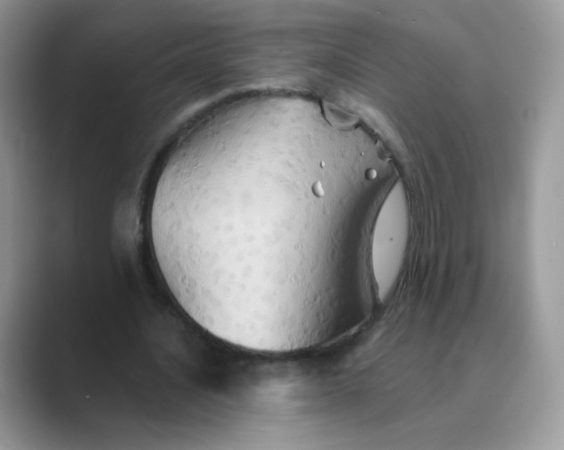 X0000089720628200707051721